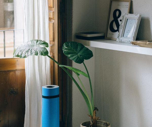 A calm and tidy corner of a room with a yoga mat and a plant.